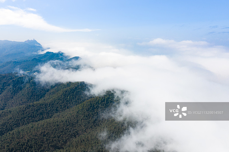 航拍蜀南竹海图片素材