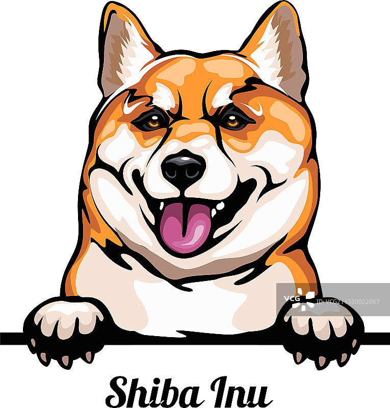 柴犬犬种彩色图像图片素材