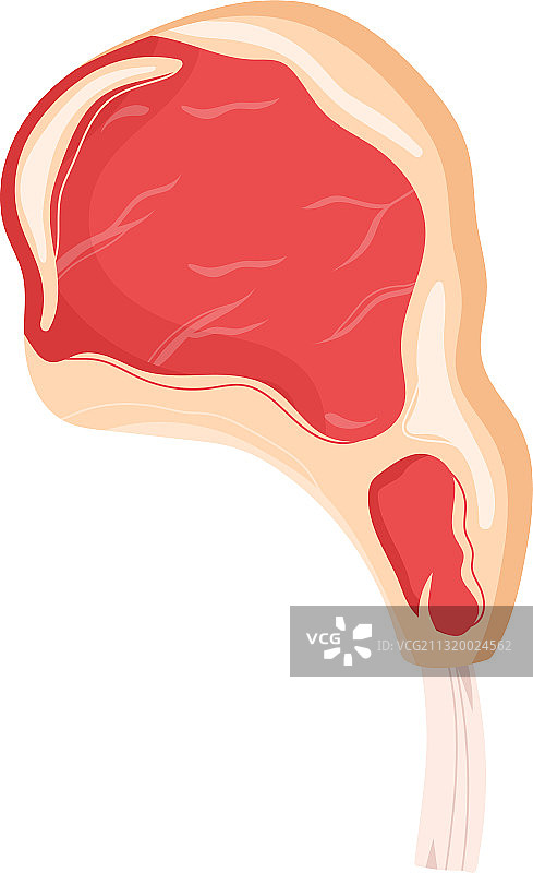 红色牛排肉图片素材