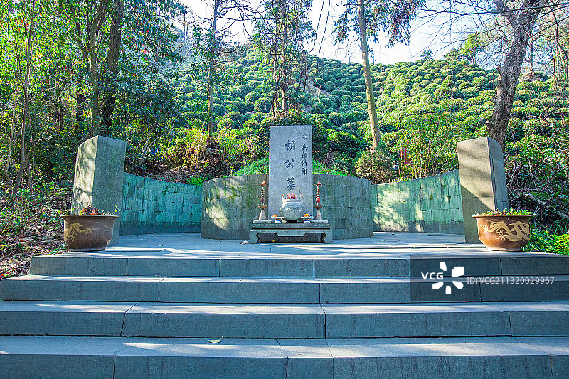 杭州老龙井胡公庙图片素材