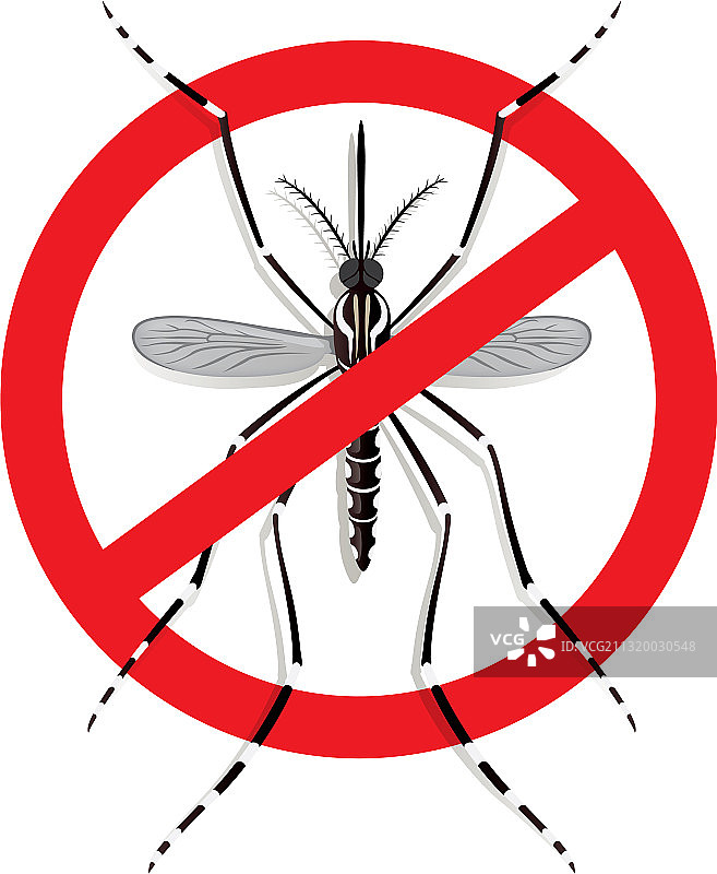 禁止标志顶视图上的埃及伊蚊图片素材