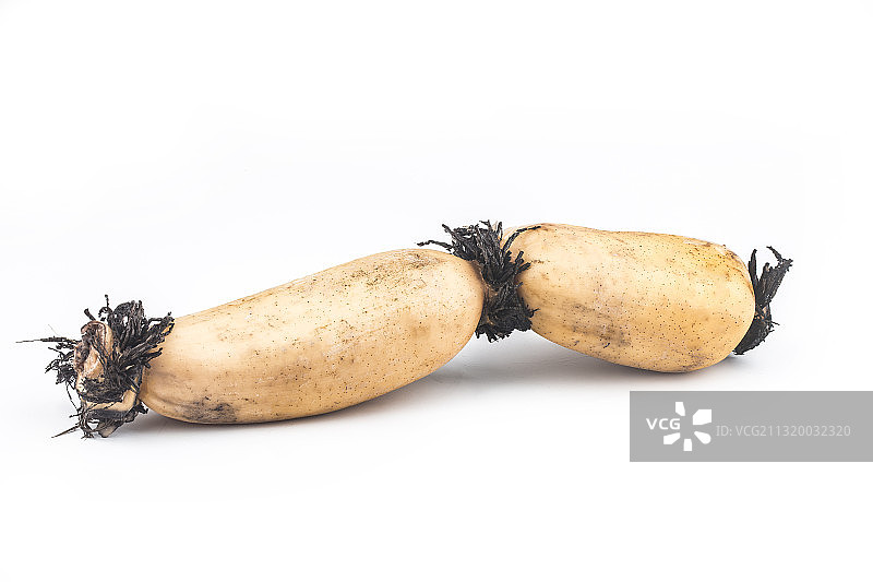 新鲜莲藕图片素材