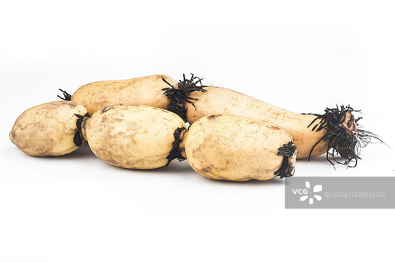 新鲜莲藕图片素材