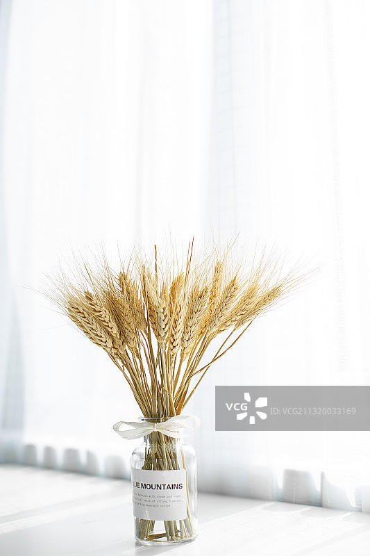 桌上的麦芒图片素材