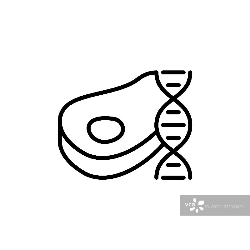 实验室培育肉DNA链和牛排线条图片素材