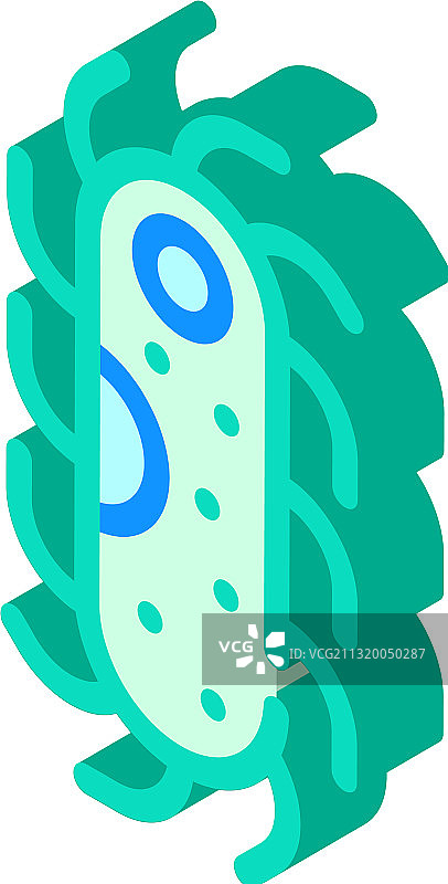 疟疾原虫2.5D孤立图标图片素材