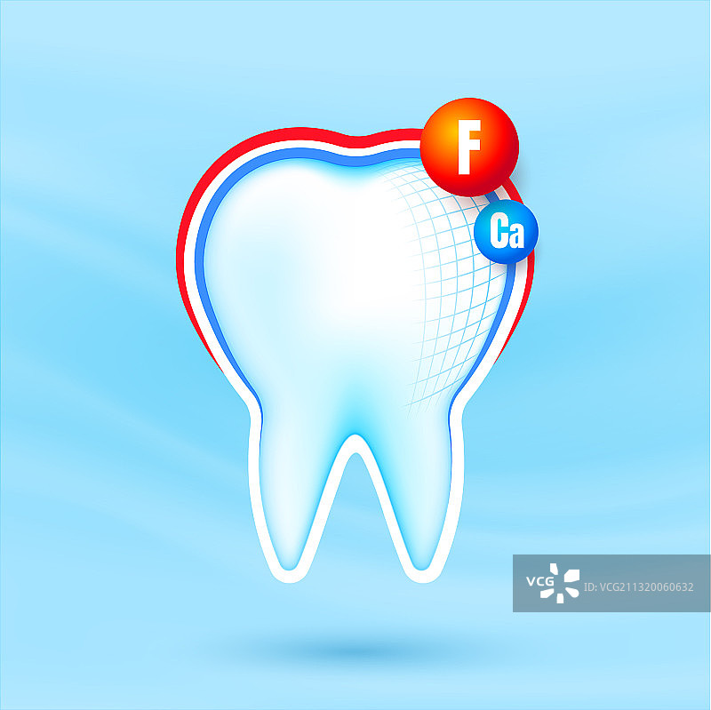 含钙和氟保护层的健康强壮牙齿图片素材