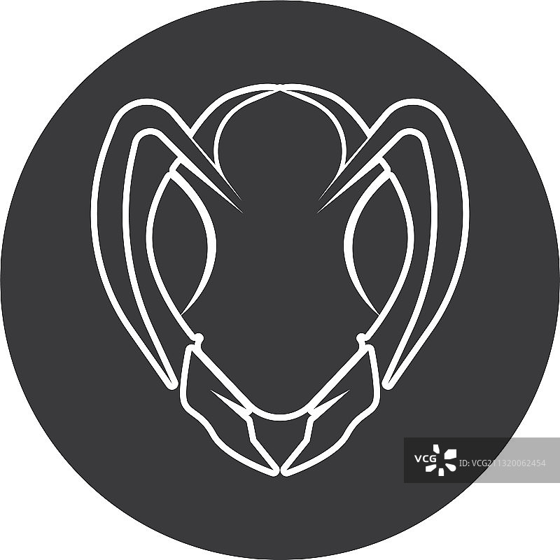 蚂蚁设计图片素材