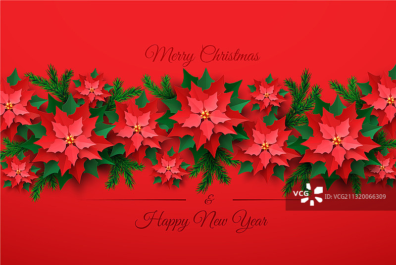 红色圣诞一品红图片素材