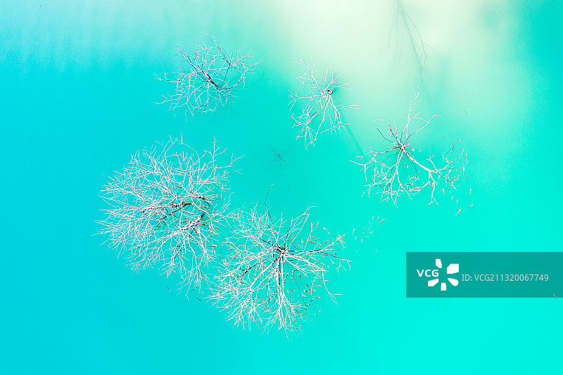 广东茂名露天矿生态公园矿湖青蓝的湖水景观图片素材