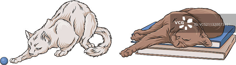 猫咪玩球，趴在书上图片素材