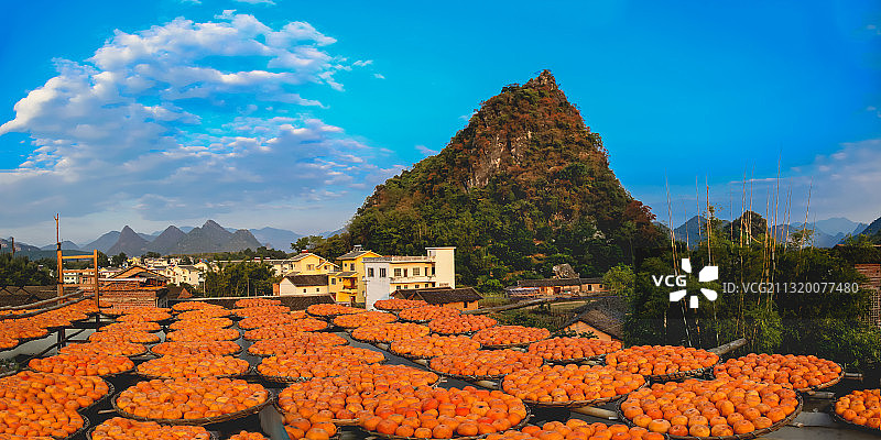 广西桂林恭城柿子节图片素材