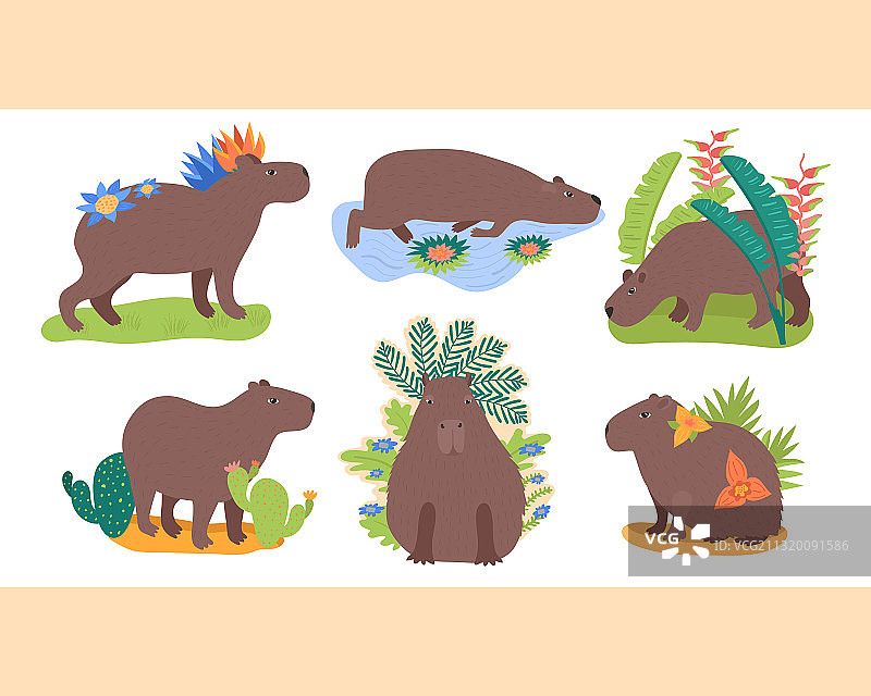 水豚图案合集图片素材