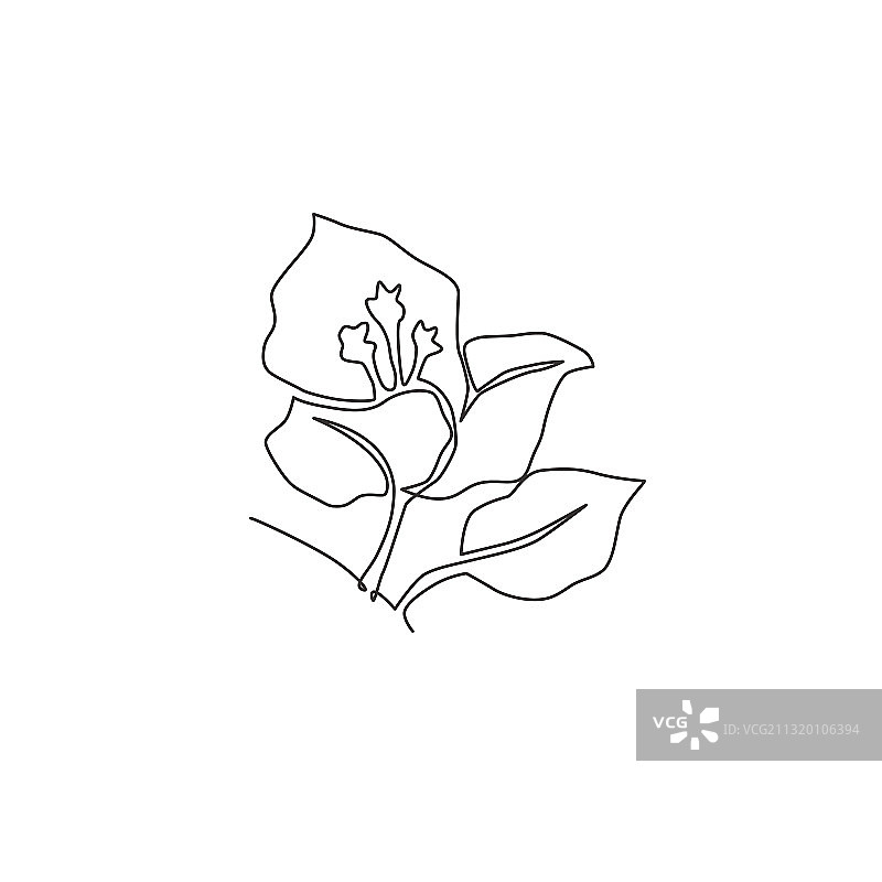 清新美女单线连续绘图图片素材