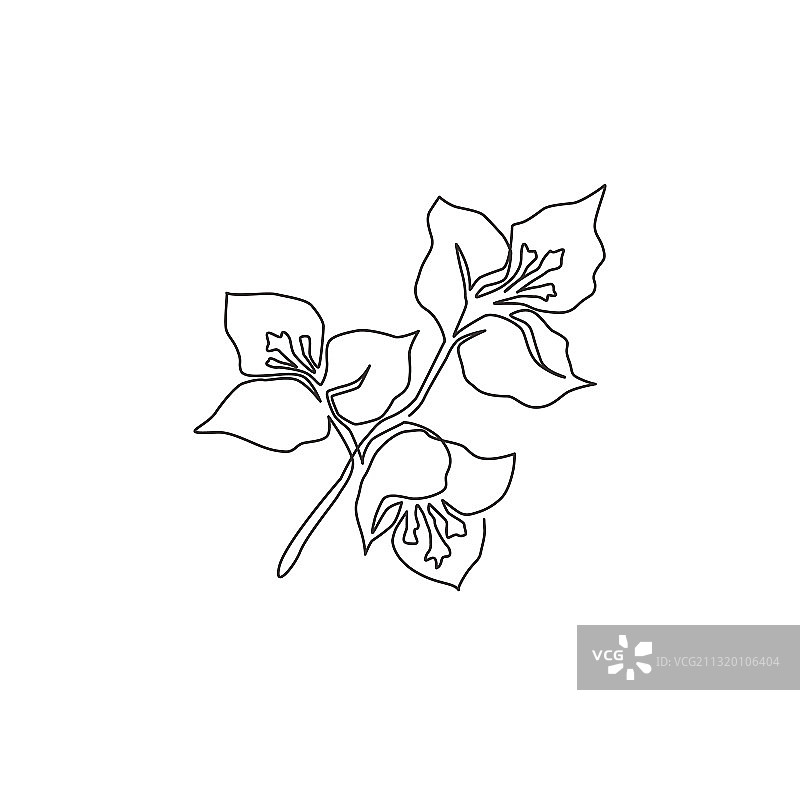 清新美女单线画图片素材