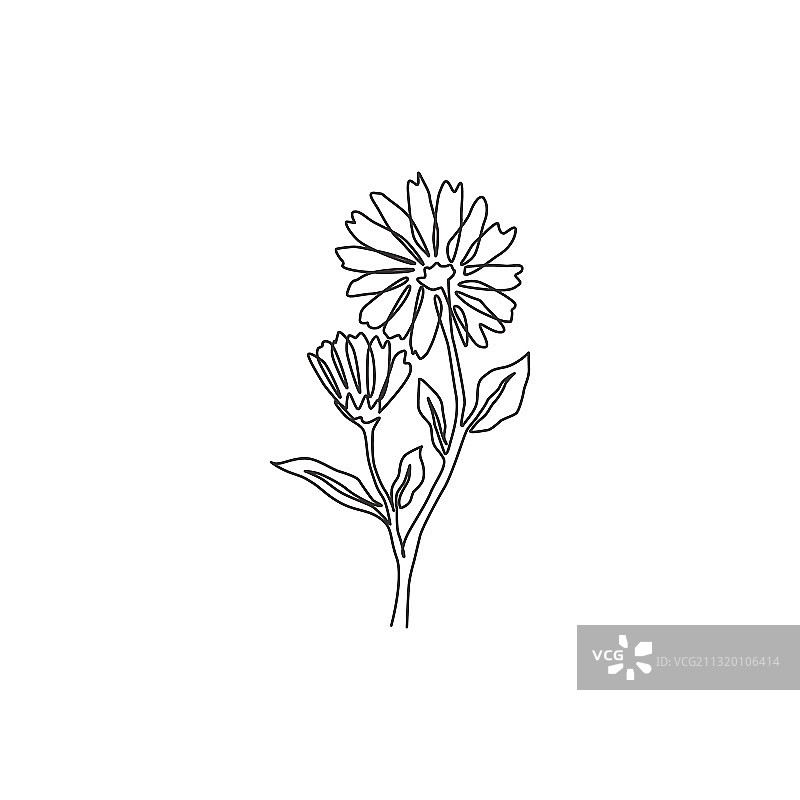 清新之美连续线条画图片素材