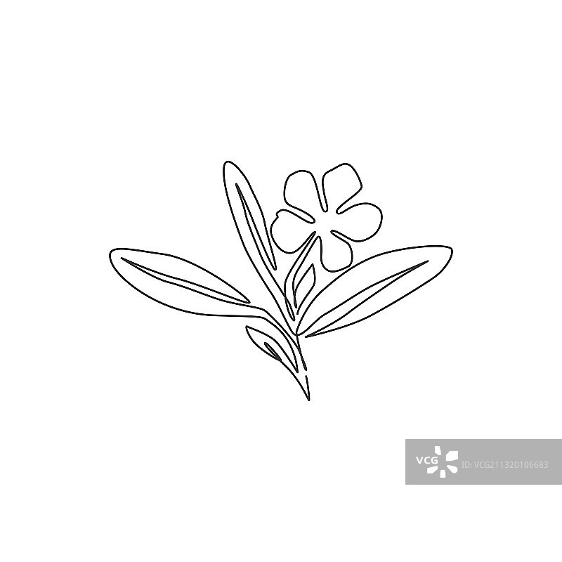 清新美女单线连续绘图图片素材