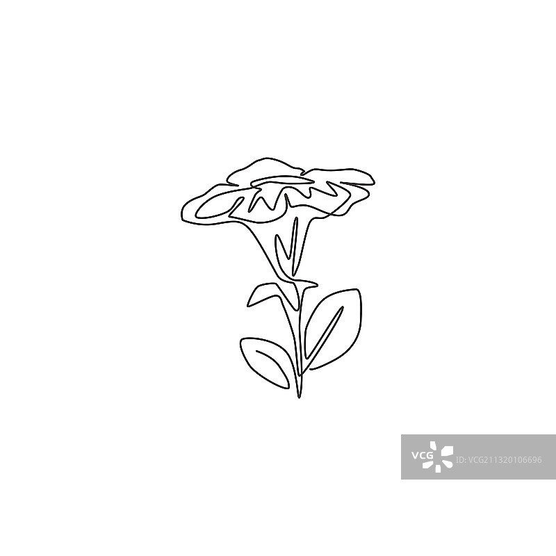 清新美女单线画图片素材