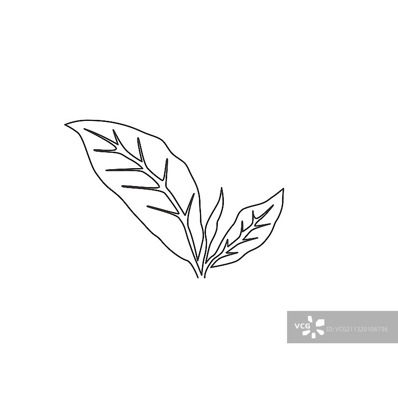 健康有机食品单线连续绘图图片素材