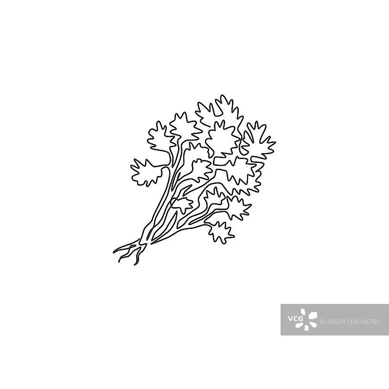 捆绑的束单线连续画图片素材