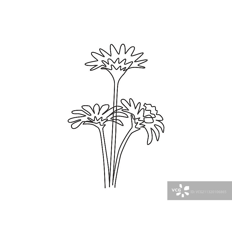 清新美女单线连续绘图图片素材