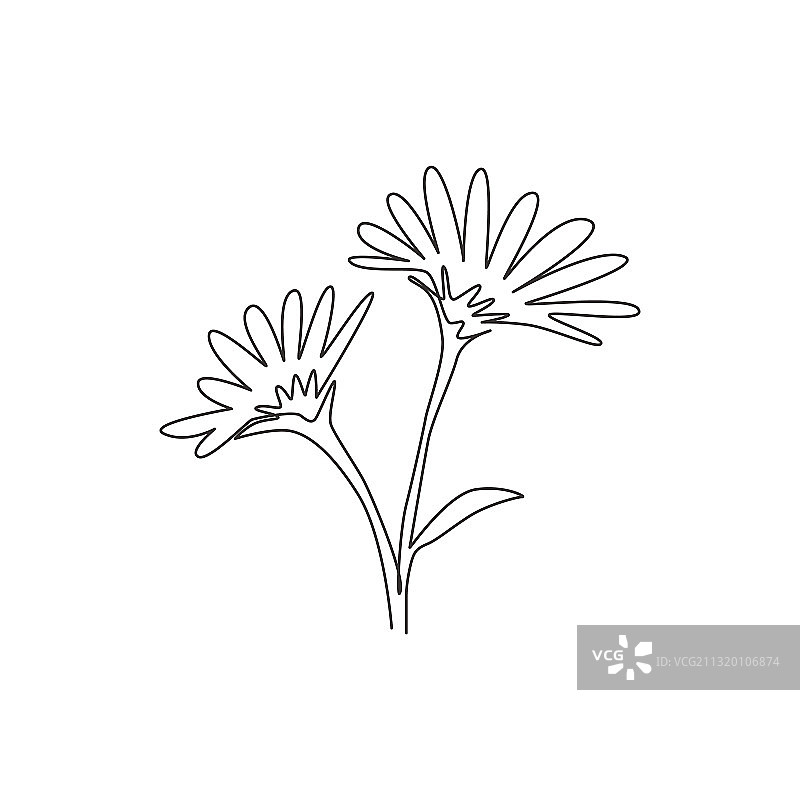 清新美女单线连续绘图图片素材