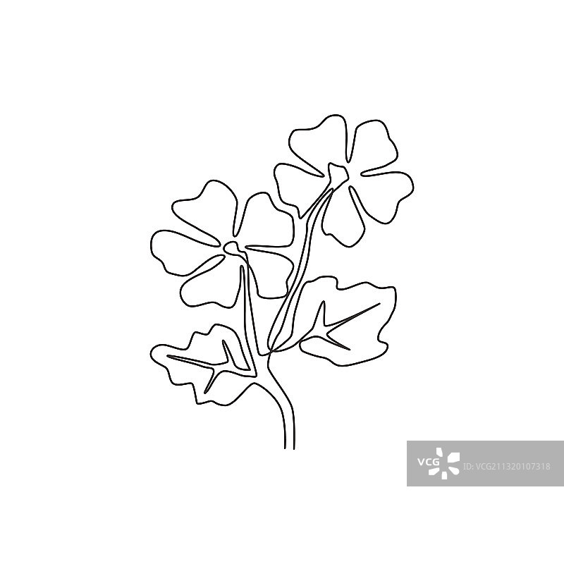 单线画清新普通美人图案图片素材