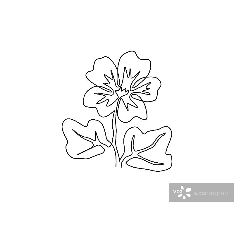 新鲜紫色之美的连续线条画图片素材