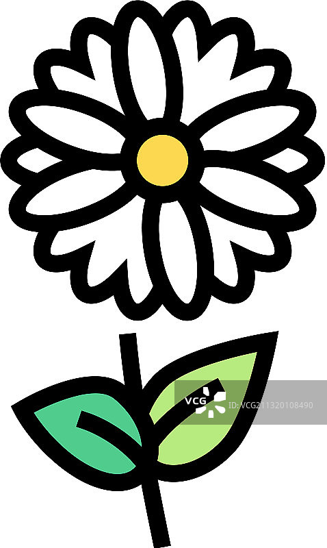 洋甘菊香薰彩色图标图片素材