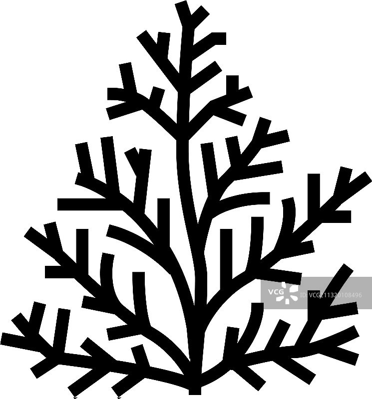 雪松植物香薰彩色图标图片素材