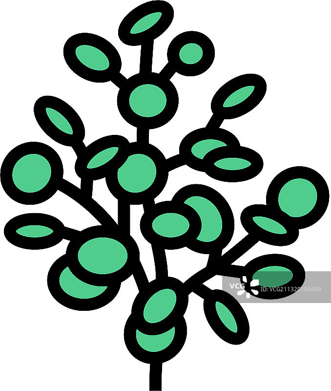 桉树精油芳香疗法彩色图标图片素材