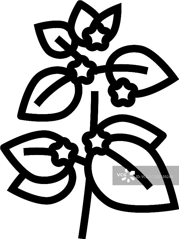 香蜂草草本香薰系列线性图标图片素材