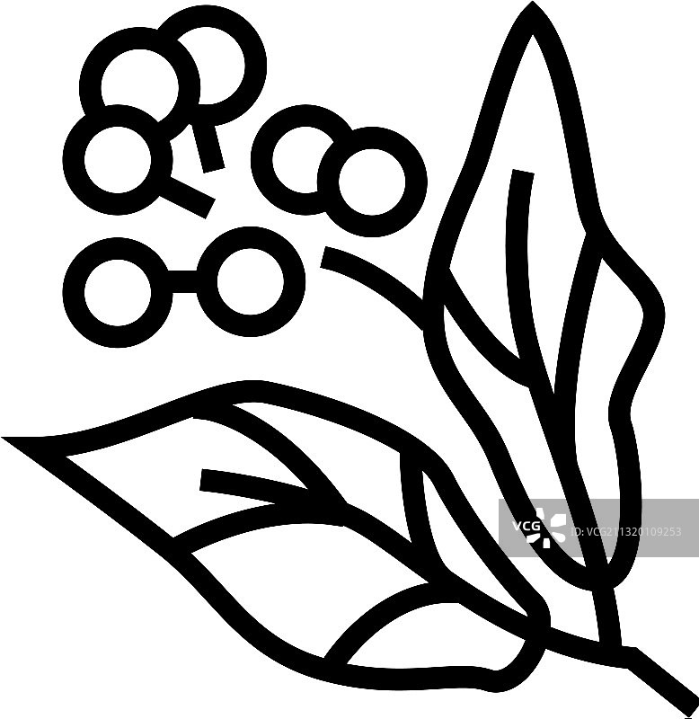 樟脑芳香疗法线性隔离图标图片素材