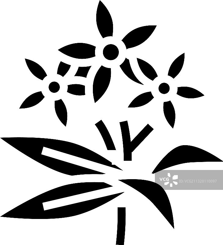 橙花精油香薰标志图片素材