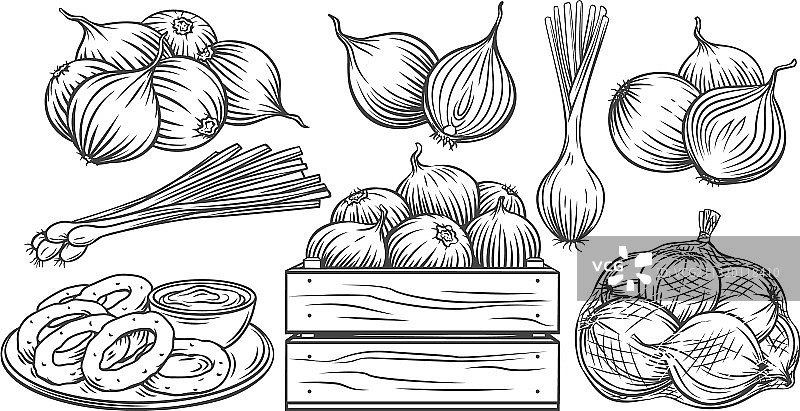 洋葱轮廓单色图标图片素材