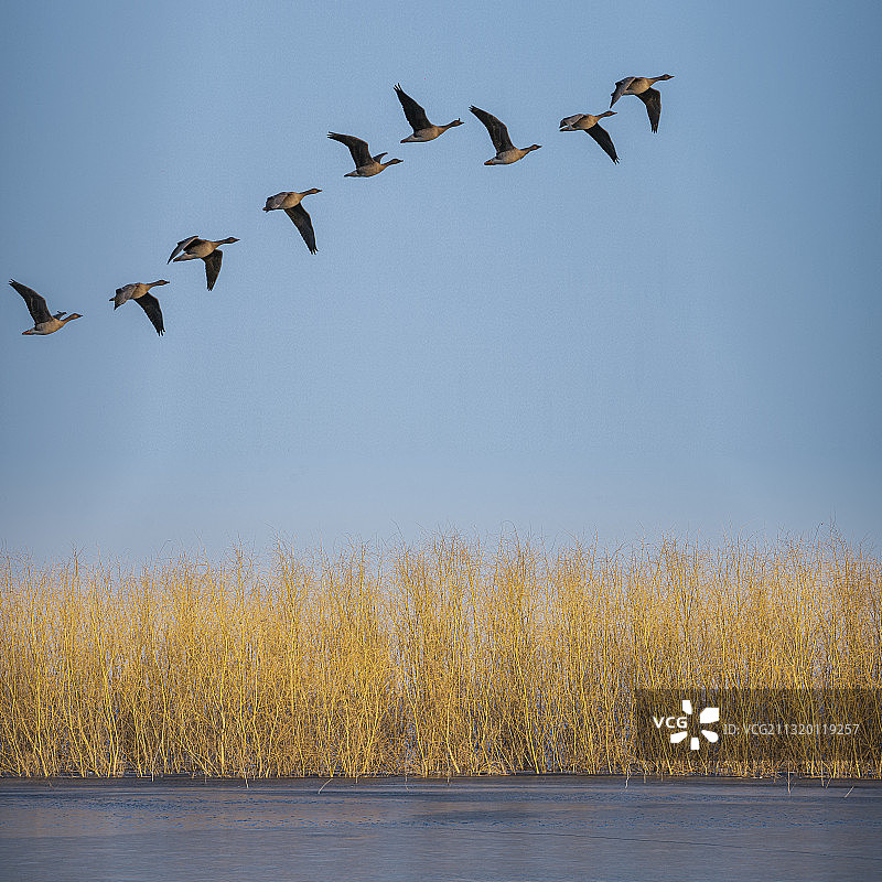 河北省邯郸市磁县溢泉湖景区图片素材