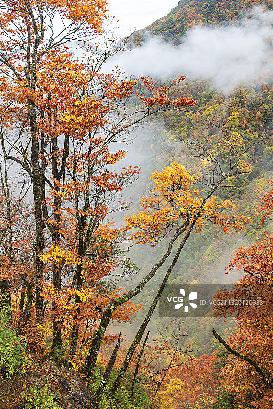 神农架风光图片素材