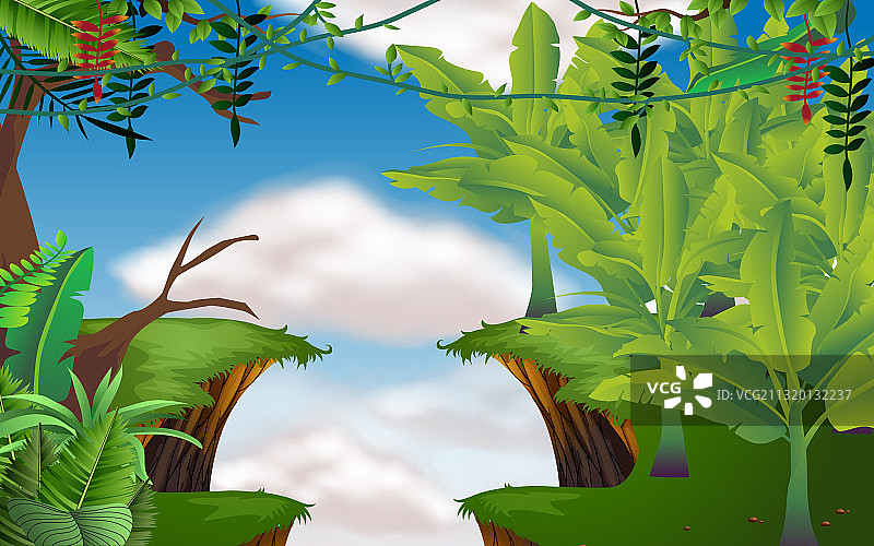 高山香蕉林景观图片素材