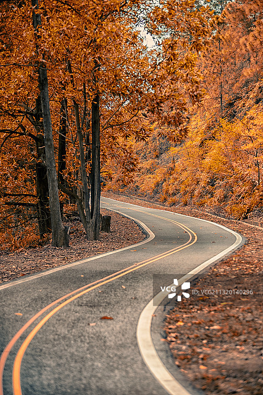 泉林度假区 江门图片素材