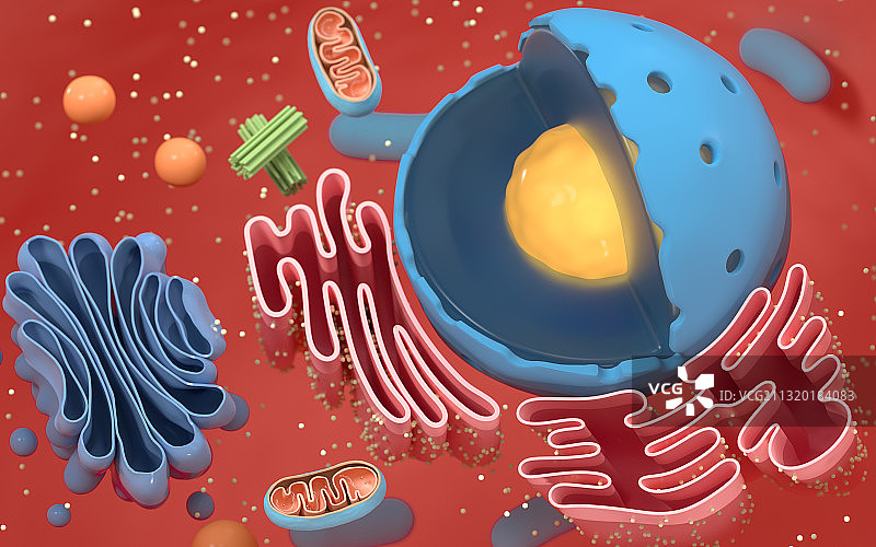细胞结构图解 3D渲染图片素材