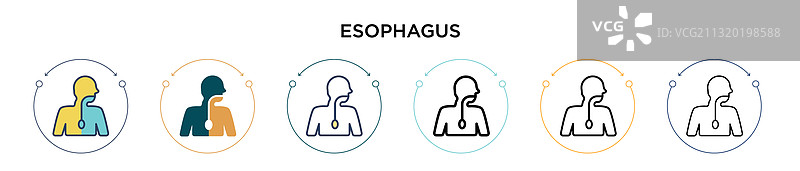 食道图标，填充细线轮廓图片素材