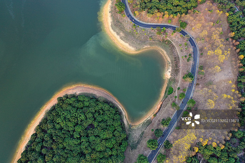 广东省东莞市大朗镇松山湖风景区桃花源松湖花海航拍图片素材