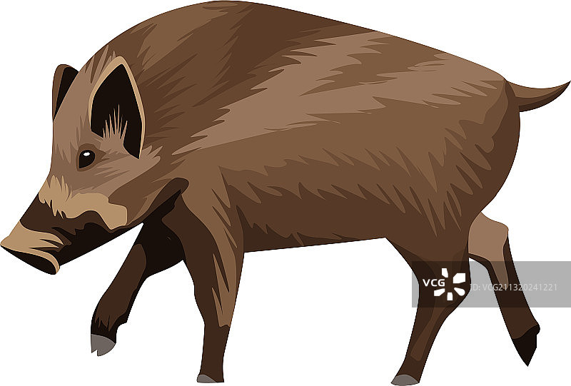 野猪动物自然图标图片素材