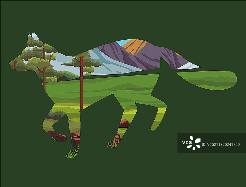 风景中的野生狐狸动物剪影图片素材