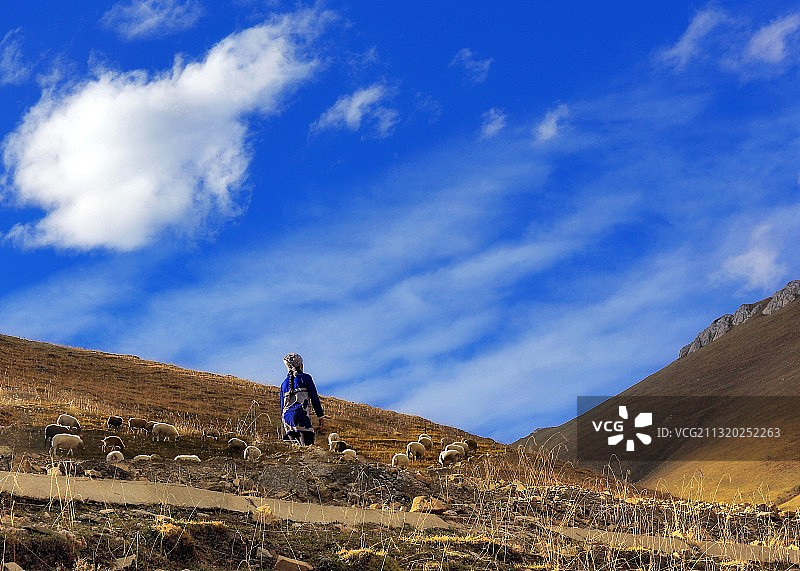 甘南的回忆（2）图片素材