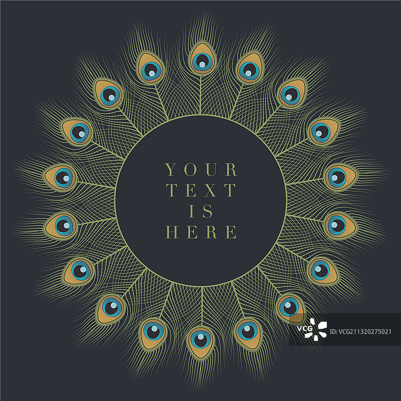 观赏圆形框架孔雀羽毛图片素材