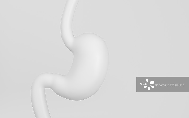 胃和消化道 3D渲染图片素材