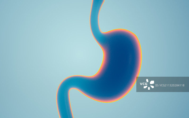 胃和消化道 3D渲染图片素材