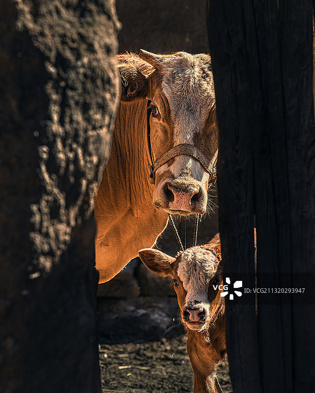 外面的世界图片素材