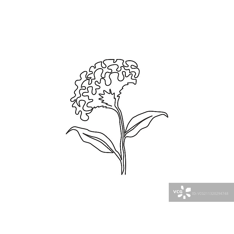 清新美女单线连续绘图图片素材